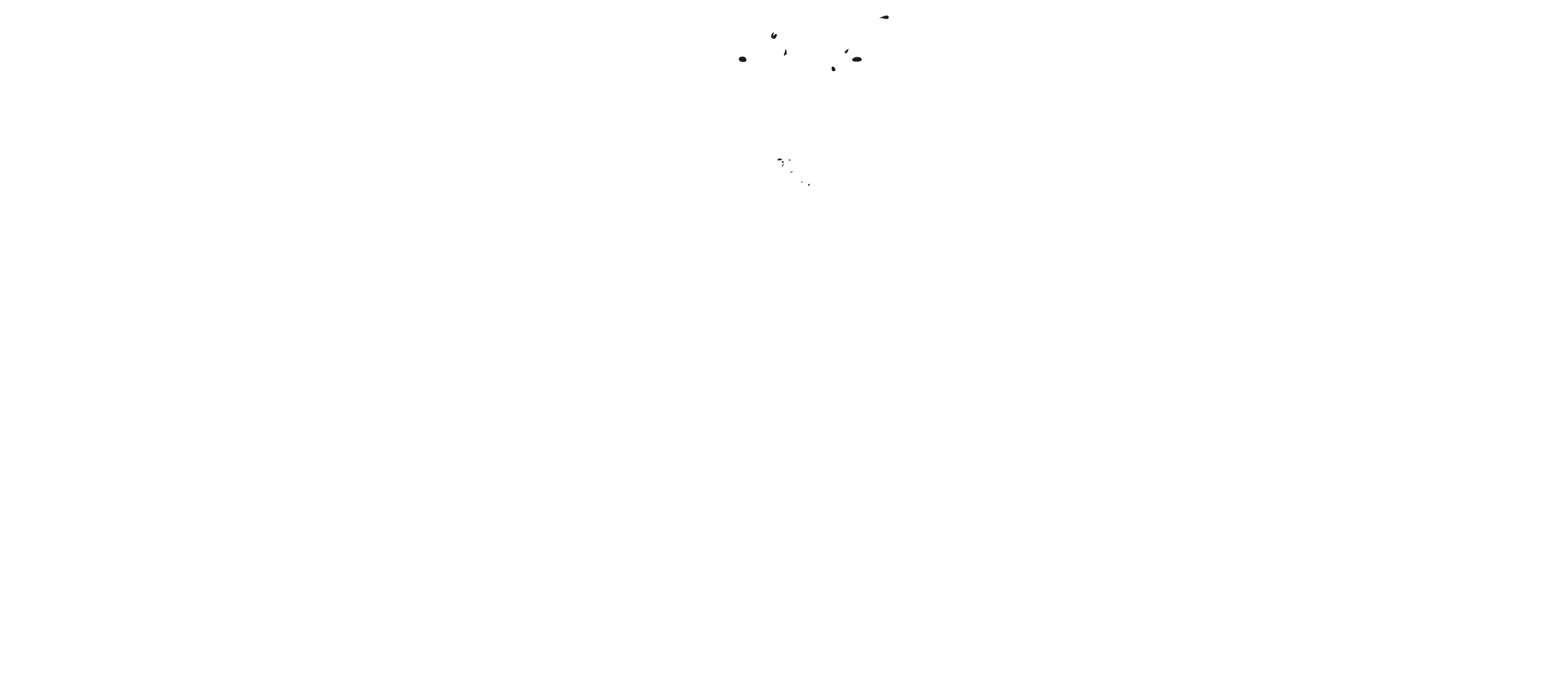 Gentlemen Barber Shop Rzeszów Św. Kingi